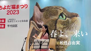 【ちよだ猫まつり2023】春よ、来い/松任谷由実