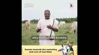 Experience the Divine Love of Gau Seva. Support ISKCON Bangalore's Service to Animals and Nature