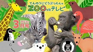 第9回てんのうじどうぶつえんのZOOっとテレビ ｜ 公式HPでプレゼント企画実施中！ 天王寺動物園｜2023.3月5日放送