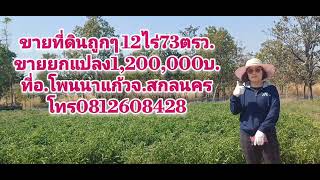 ขายที่ดินถูก12ไร่73 ตรว.ขายยกแปลง1,200,000บ.ที่อ.โพนนาแก้วจ.สกลนคร