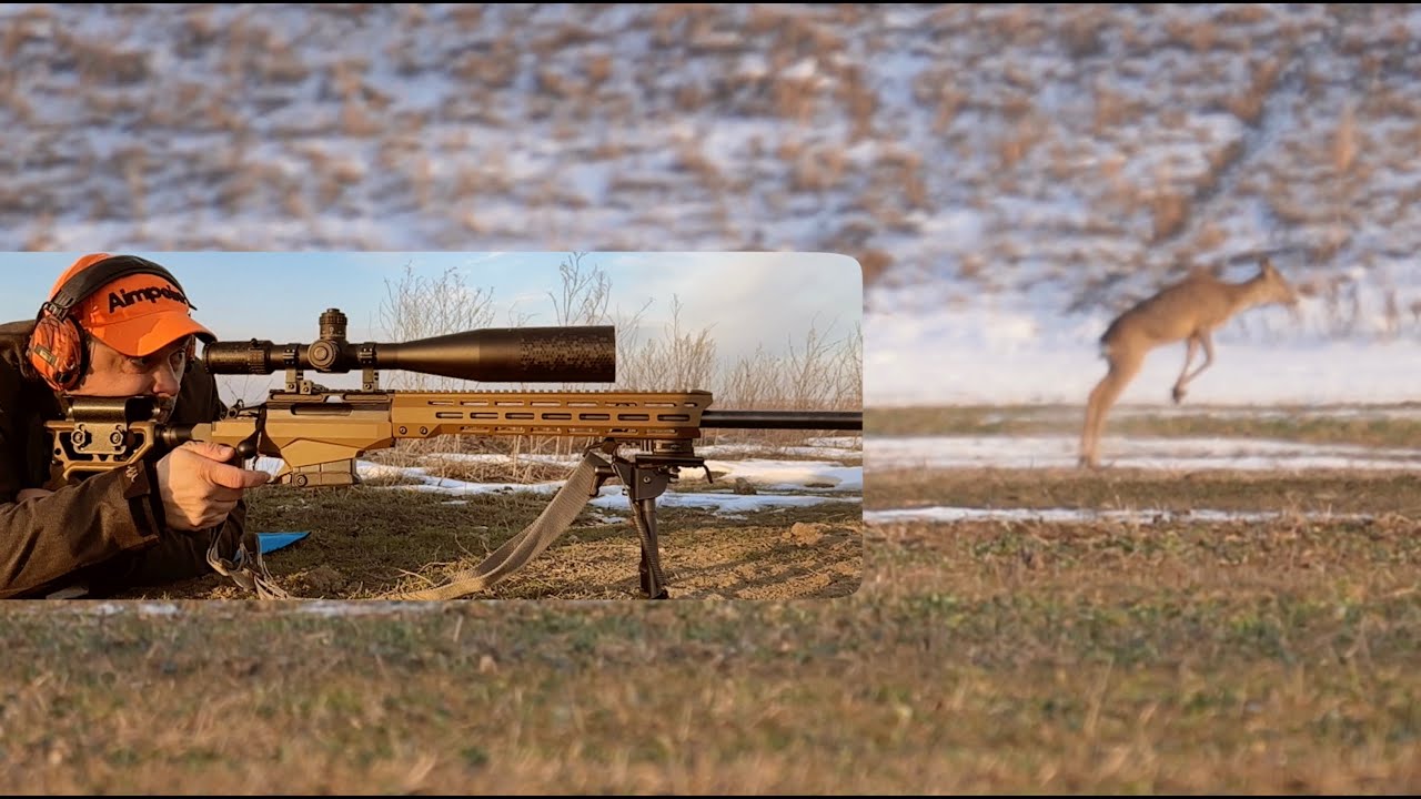 Deer Long Range Hunting Youtube