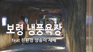 보령 냉풍욕장 (친환경 양송이 재배)