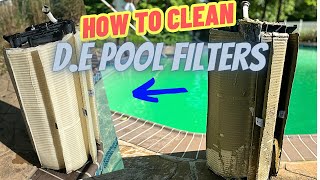 How To Clean D.E Filter ( Step By Step)