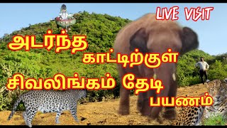 அடர்ந்த காட்டிற்குள் சிவலிங்கம் தேடி பயணம்/மிருகங்கள் நடமாடும் பகுதி@LIVE