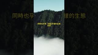 華夏文明的龍脈—中國秦嶺山脈⛰️千古龍脊，自然之冠，絕美的山川畫卷，壹生必徒的壯闊山川！ #中國旅遊 #旅游 #美景 #amazing #旅行 #景點 #风景 #traveltip #西安