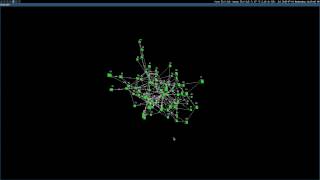 Testing NEAT grow visualization