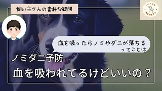 【時々聞かれる質問】予防薬って刺されてから、ダニが落ちるのに病気を防げるんですか？