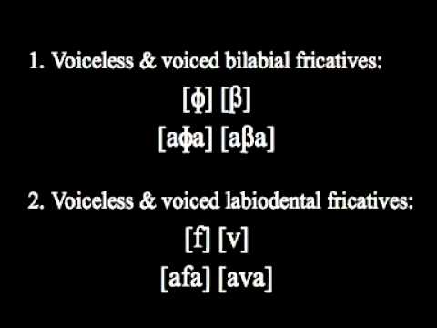 Bilabial And Labiodental Fricatives（英語発音聴取用） - YouTube