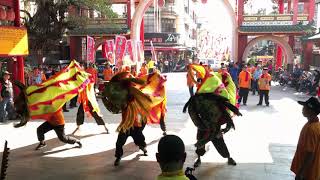 [廟會陣頭]//2019/11/24 東津玄法寺玉玄堂 開光啟靈平安繞境大典(2) //入 朝隆宮 //蜈蚣陣 舞獅 舞龍