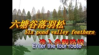 北埔.落羽松.六塘谷.北埔路線 Six pond valley feathers