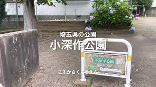 埼玉県さいたま市の　小深作公園に行ったら・・・　【ランニング】【ジョギング】【ポケ活】