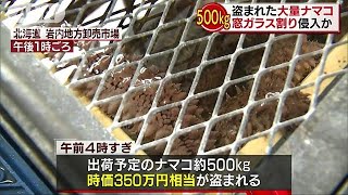 ナマコ500キロ盗まれる　タンクに保管・・・南京錠も(18/07/17)