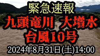 緊急速報　台風10号　九頭竜川大増水　2024年8月31日(土)