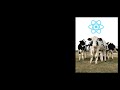Why We Should Ditch React 👎