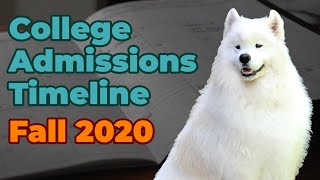 How to Manage the Timeline of College Admissions (Fall 2020)