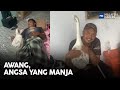 Awang, Angsa Yang Manja | MHI (1 Disember 2022)