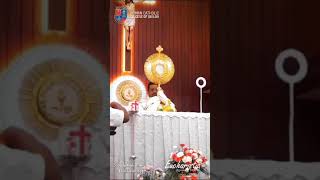 Eucharistia - ദിവ്യകാര്യണ്യ വഴിയിൽ - കൊല്ലം രൂപത - St Joseph Church Thekkumbhagam