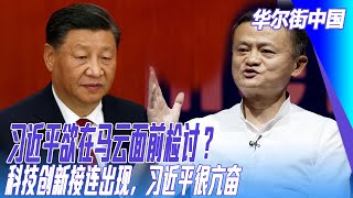 习近平欲在马云面前检讨？科技创新接连出现，习近平很亢奋，他的想法被扭曲是宣传部门的功劳，外界更是相反解释｜华尔街中国