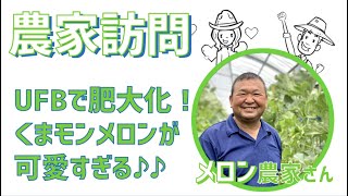 UFBでメロン肥大化！くまモンメロンが可愛すぎる件。おいしいメロンの作り方も教えちゃいます！