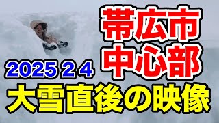 降雪量1.24メートル【帯広大雪直後の映像】