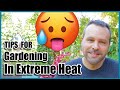 Gardening in Extreme Heat // Getting Your Summer Garden Through a Heat Wave