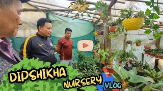 Visiting Dipshikha Nursery🪴 Darjeeling Phoobsering | Plants