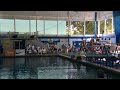 2014 usa diving nationals 5152b 1m