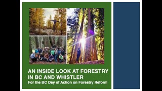 An Inside Look at Forestry in BC and Whistler