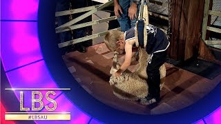 Meet Charlie The Sheep Shearer | Little Big Shots Australia