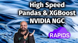 High Speed Pandas on an GPU in AWS Cloud with RAPIDS and NVIDIA NGC