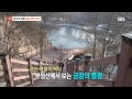 신인걸그룹 아는동생 ands 리디아 sbs 모닝와이드 출연