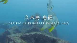 冬の沖縄久米島でダイビング！　Diving on Kume island in winter!