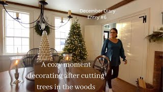 Out in the woods, a quick kitchen remodel update, and a cozy home project.