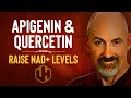 RAISE NAD+ WITH APIGENIN & QUERCETIN: Reduce CD38 To Boost NAD+ Levels [2021]