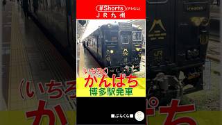 【JR九州】特急かんぱち(いちろく)別府ゆき 博多駅を発車 2024年8月5日[ナレなし] #Shorts