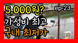 가성비 최고 낚시터,5000원 입어료, 수도권 낚시터 추천, 소확행 시작은 바로 이곳~carp fishing