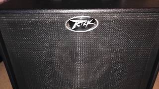 Modified Peavey Speaker | Celestion and Ash