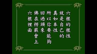 阿彌陀經疏鈔演義 229｜淨空老和尚主講