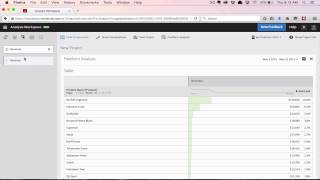 Introduction to Freeform Analysis and the Analysis Workspace