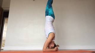 Yoga Demo : Hollow Back Forearm Stand