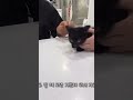 주사 맞다가 성격 나와버림 ㅋㅋㅋㅋㅋㅋ shorts youtubeshorts cat cats 고양이 병원 주사 예방접종