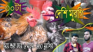 ৩০ টা দেশি মুরগি দিয়ে শুরু করে | ৬ মাসে  ৬০০ মুরগির ১ টি খামার  করা সম্ভব  সফল খামারি শেরপুরের সোহাগ