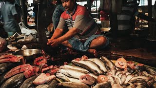 Kolkata fish market in shyamnagar 🤗 #Shorts