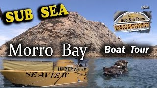 Sub Sea Boat Ride Tour Morro Bay, CA