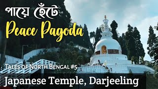 Peace Pagoda \u0026 Japanese temple Darjeeling | peace pagoda darjeeling | peace pagoda darjeeling vlog