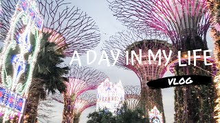 VLOG | A Day in My Life | What I Ate in A Day