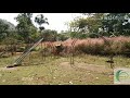 a complete travel guide to udayagiri fort biodiversity park pulliyoorkurichi kanyakumari dist