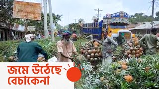 করোনায় বেড়েছে আনারসের চাহিদা