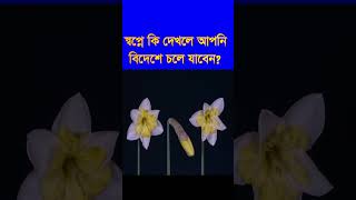 #স্বপ্নে কি দেখলে আপনি #বিদেশ চলে যাবেন,#sopne ki #dekle apni #bidese cole jaben