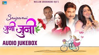 Nepali Super Hit Songs|Jukebox Nepali Songs || Juni Juni || Sanjeevani, Kumar Sanu, Neelam Angbuhang